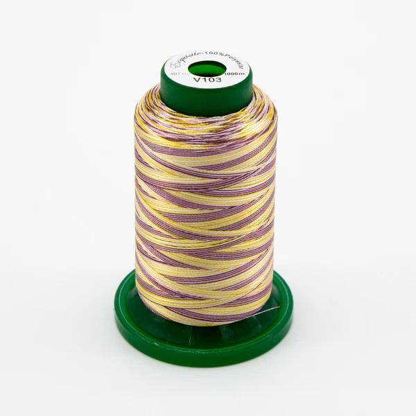 Exquisite_Medley_Variegated_Flamingo_40wt_1000m_V103_Embroidery_Thread